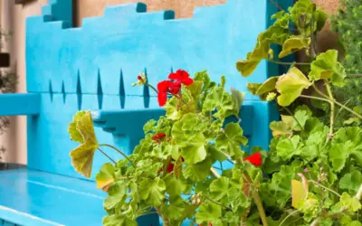39 Unique Things To Do In Santa Fe